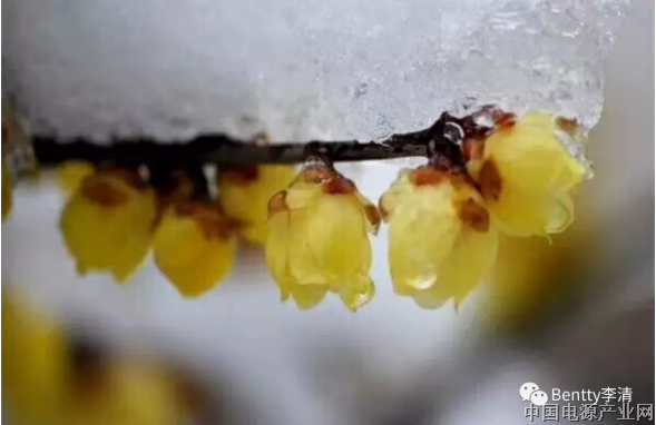 新能源市场如何玩转PDU?