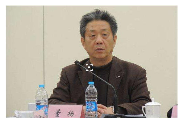 董扬：关于电动汽车合资问题