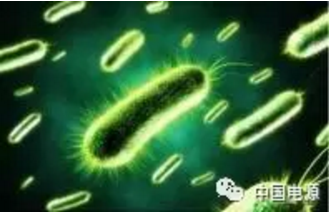 用纸做成的电极让微生物燃料电池更廉价高效