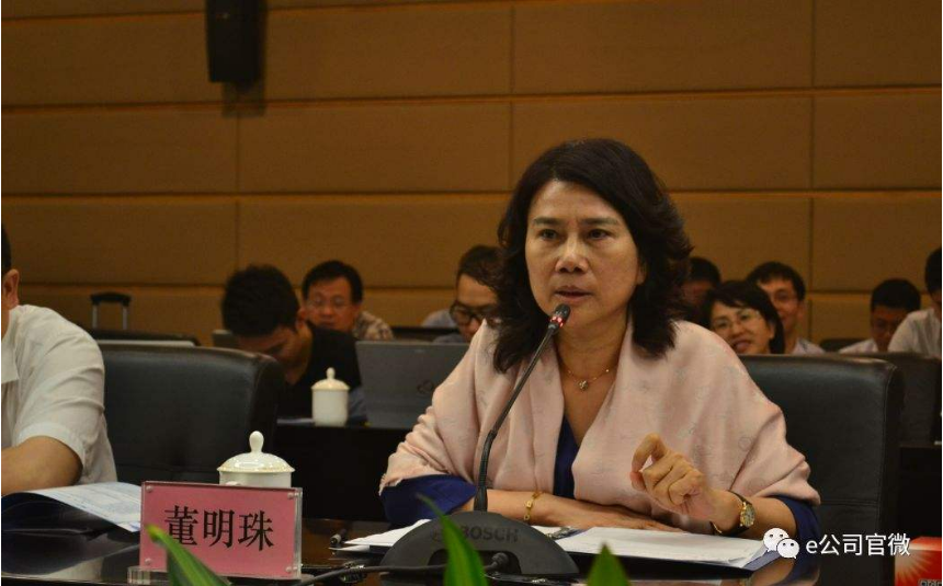 董明珠揭秘投资珠海银隆内幕