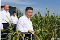 “当年，我人走了，但我把心留在了这里。”