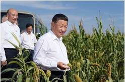 习近平带领百年大党奋进新征程