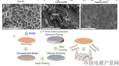 上海硅酸盐所提出锂金属电池负极非消耗型氟化流体界面调控策略