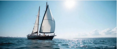 阳光电源这次押对宝了