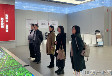 党员先锋赴雄安 调研交流谋新篇——电源行业协会行业党支部“率先锋”团队赴雄安新区调研